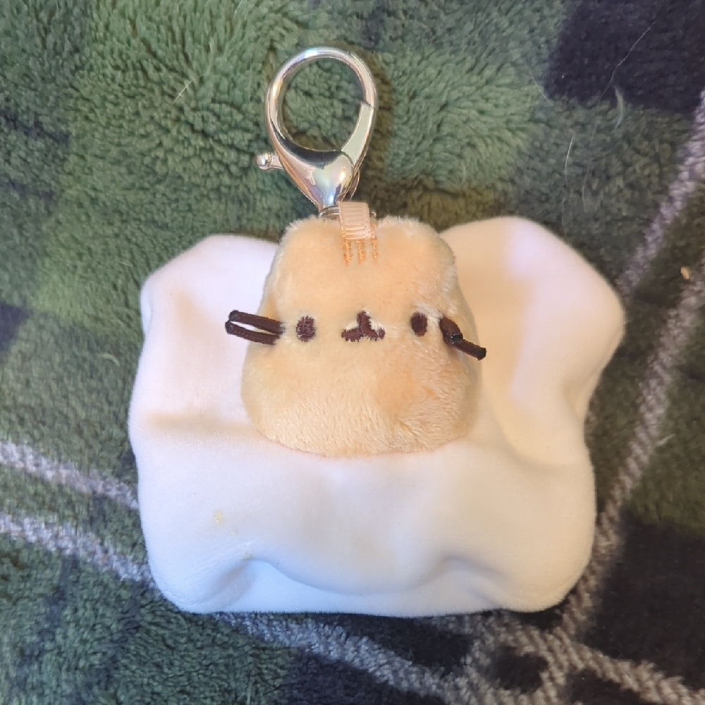 Pusheen Blindbox Keychain
